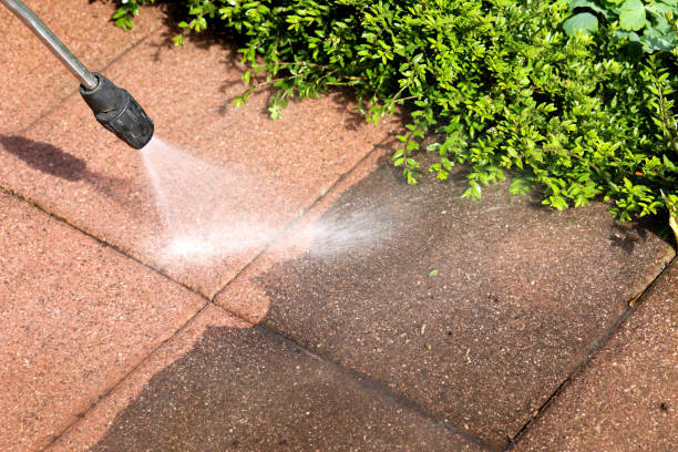 Best Pressure Washing Contractors  in Jamul, CA